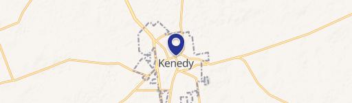 Kenedy, TX 78119