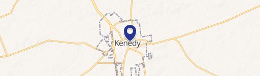 Kenedy, TX 78119