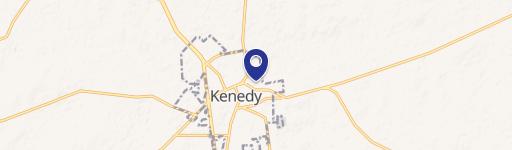 Kenedy, TX 78119