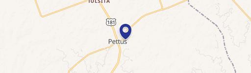 Pettus, TX 78146