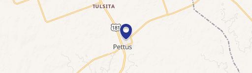 Pettus, TX 78146