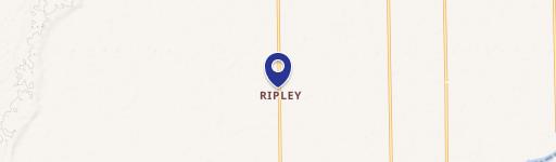 24541 Neighbours Blvd