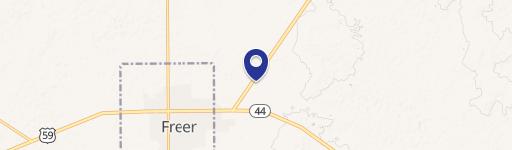 Freer, TX 78357