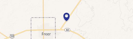 Freer, TX 78357