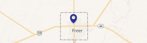 Freer, TX 78357