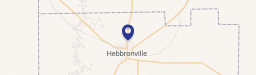Hebbronville, TX 78361