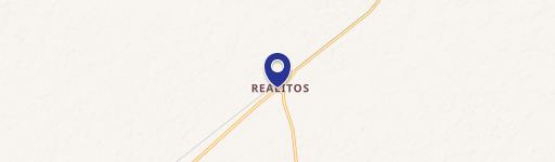 Realitos, TX 78376