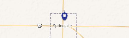 Springlake, TX 79082