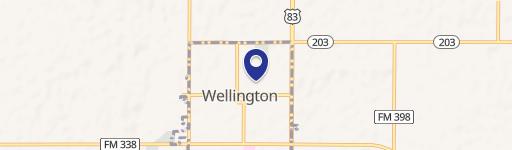 Wellington, TX 79095