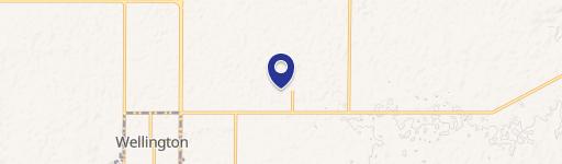 Wellington, TX 79095