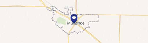 Muleshoe, TX 79347