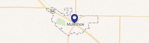 Muleshoe, TX 79347
