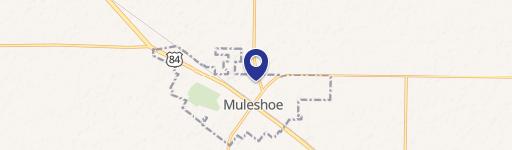 Muleshoe, TX 79347