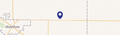 Muleshoe, TX 79347