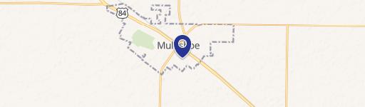 Muleshoe, TX 79347