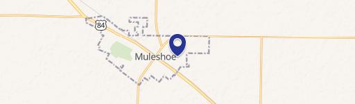 Muleshoe, TX 79347