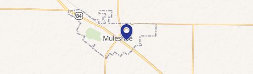 Muleshoe, TX 79347