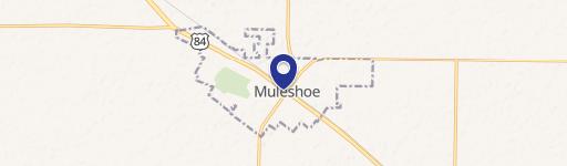 Muleshoe, TX 79347