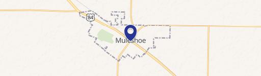 Muleshoe, TX 79347
