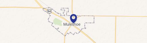 Muleshoe, TX 79347