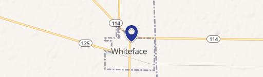 Whiteface, TX 79379