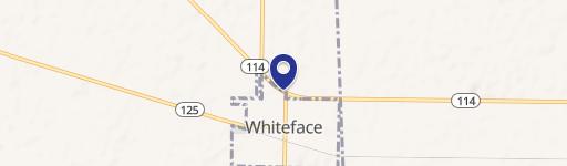 Whiteface, TX 79379