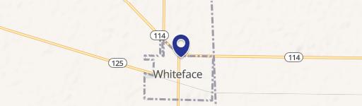 Whiteface, TX 79379