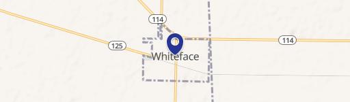 Whiteface, TX 79379