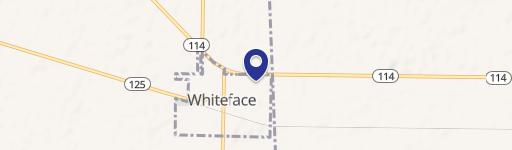 Whiteface, TX 79379