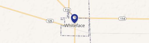 Whiteface, TX 79379