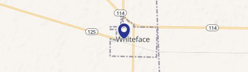 Whiteface, TX 79379