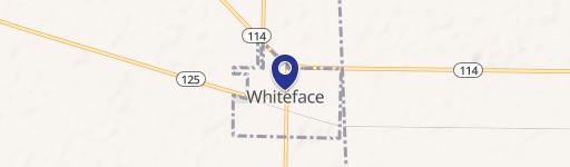 Whiteface, TX 79379