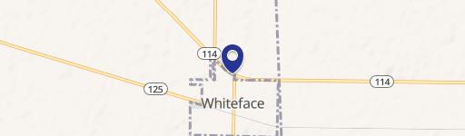 Whiteface, TX 79379