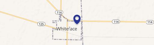 Whiteface, TX 79379