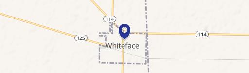 Whiteface, TX 79379