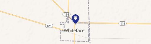 Whiteface, TX 79379