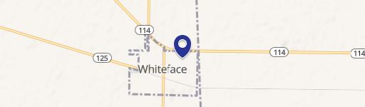 Whiteface, TX 79379