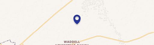 Austin At N Cedar St