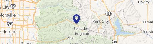 11365 Silver Snow Ln