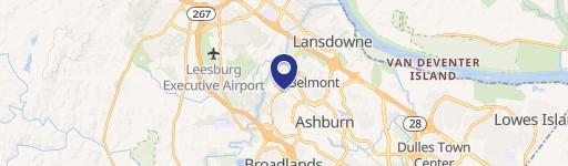 43020 Eastern Kingbird Plz