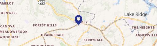 12715 Ridgefield Vlg Dr