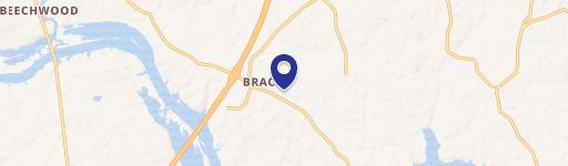 Bracey, VA 23919
