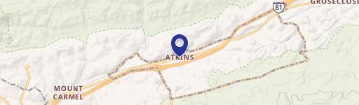 Atkins, VA 24311