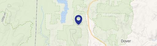 110 Mt Snow Properties