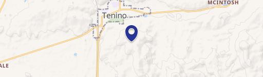 Tenino, WA 98589