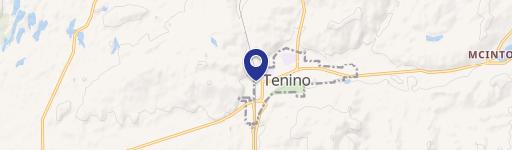 Tenino, WA 98589