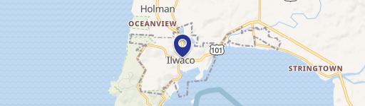 Ilwaco, WA 98624