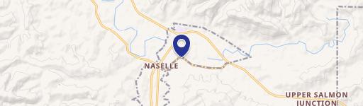 Naselle, WA 98638