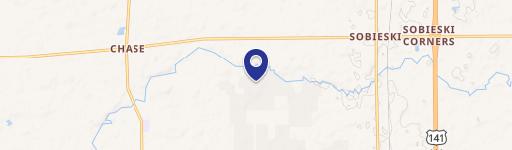 Sobieski, WI 54171
