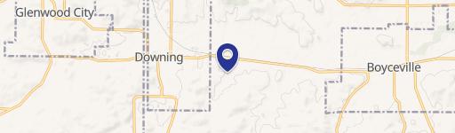 Downing, WI 54734